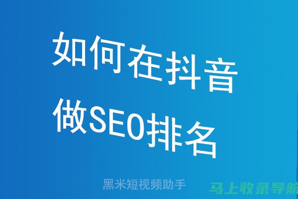 抖音SEO排名效果实测报告：数据说话，真相揭秘